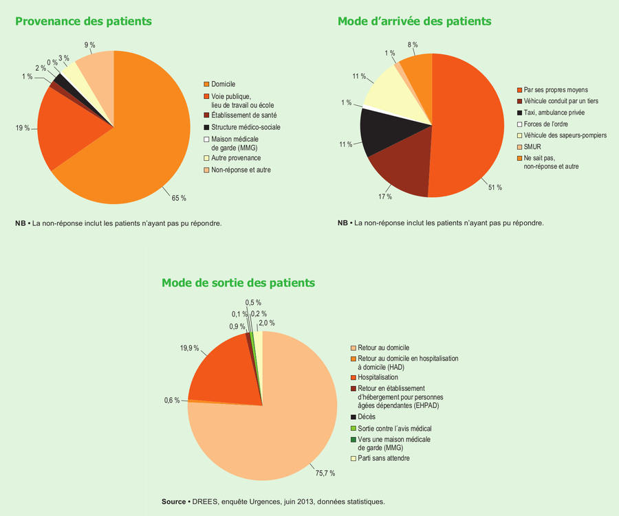 Provenance, mode d'arrivée puis mode de sortie des 52 000 patients passés par l'un des 736 services d'urgences de métropole et d'Outre-mer le 11 juin 2013