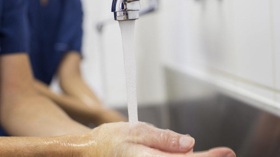 Un diagnostic adéquat, couplé à de petites installations et une bonne communication auprès des professionnels, peut impacter fortement la consommation d'eau sanitaire. (SPL/BSIP)