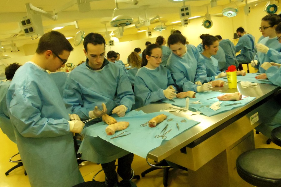 Les étudiants de la faculté de médecine de Poitiers s'initient à la suture sur pied de cochon.