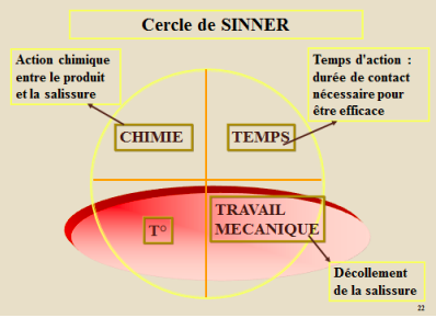 Le cercle de Sinner