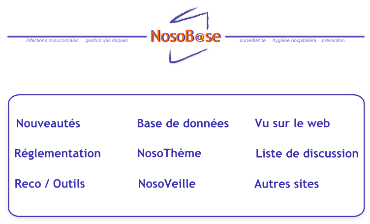 Certains services de Nosobase, identifiés dans cette capture d'écran du site, vont disparaître avec la réorganisation du dispositif de prévention et de surveillance des infections associées aux soins.