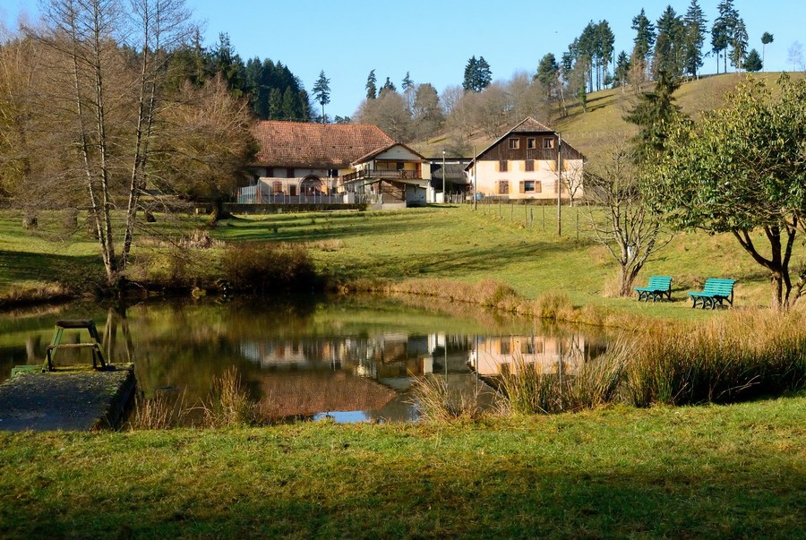 Sur place, les travaux ont commencé pour la réhabilitation des deux anciennes fermes du site et le parcours de visite sera complété par des bâtiments d'animation en bois.