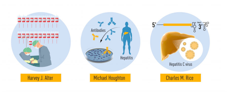 Les trois découvertes successives récompensées par le prix Nobel de médecine s'échelonnent de la fin des années 1970 jusqu'aux années 2010. (Académie Nobel)