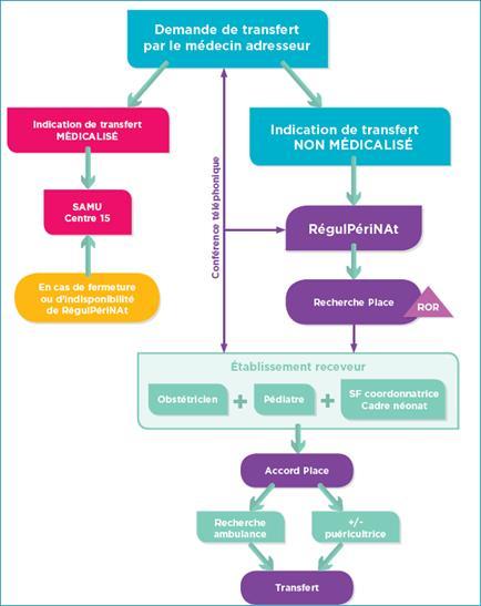 La cellule recueille les éléments du dossier essentiels au transfert, trouve la place adaptée, met en lien médecins demandeurs et receveurs, organise et assure le suivi du transport mais aussi mène une veille épidémiologique. (infographie ARS-RPNA-RégulPériNAt)