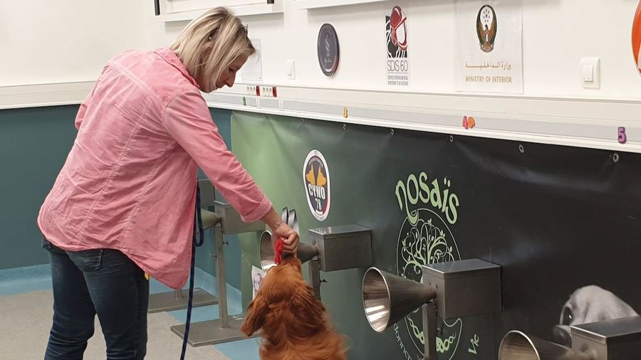 Pooka et son éducatrice, Christelle Schreiber, en formation repérage Covid au laboratoire Nosaïs de l'école vétérinaire de Maisons-Alfort. (Handi'chiens)