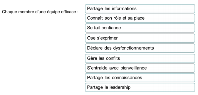 Le module complémentaire de la HAS s'intègre dans la démarche Pacte et est en cohérence avec les qualités d'une équipe efficace. (extrait du guide de la HAS)