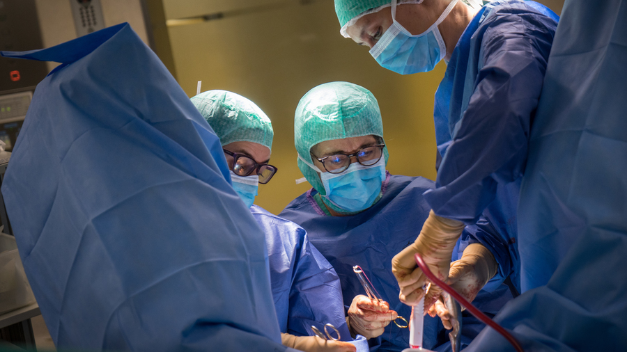 La réforme des autorisations en cancérologie est caractérisée par la gradation de certaines offres de soins pour les adultes, la création d'une autorisation spécifique en pédiatrie, le renforcement des dispositions transversales qualité en cancérologie et la refonte des seuils d'activité annuelle. (Jessica Bordeau/Image Point FR/BSIP)