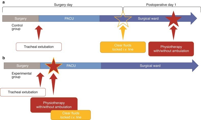 Le protocole étudié à l'AP-HM sur des patients opérés pour une résection pulmonaire a véritablement permis d'accélérer la mise en place de la réhabilitation améliorée après chirurgie (Raac). (BJS)