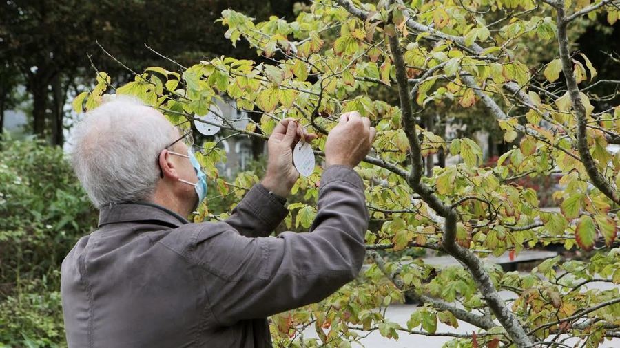 Pour la journée mondiale 2021, France Alzheimer a organisé des rassemblements dans l'espace public sur tout le territoire. Les personnes malades, les aidants et le grand public étaient invités à accrocher aux branches d'un arbre une carte, avec une pensée, un souvenir heureux ou encore un souhait. (France Alzheimer et maladies apparentées)