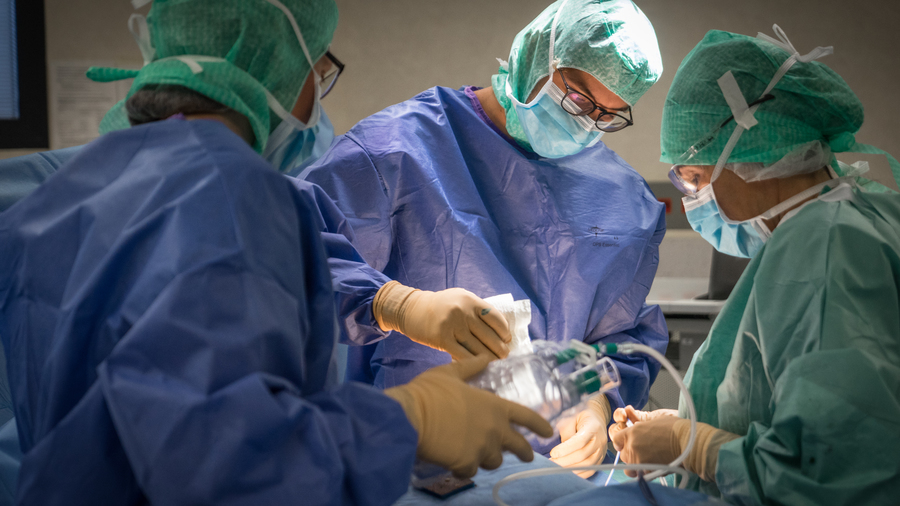 Temps fondamental de la prise en charge des cancers, la chirurgie oncologique doit bénéficier de la réforme pour être davantage graduée, avec des seuils d'activité minimale augmentés. (Jessica Bordeau/Image Point Fr/BSIP)