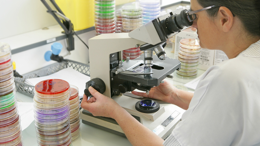 Les biologistes hospitaliers pointent le manque d'attractivité de la profession. (Chassenet/BSIP)