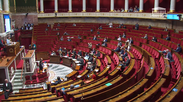Le 13 avril, les députés ont dû suspendre l'examen de la proposition de loi faute de fenêtre parlementaire suffisante. Reportée à fin juillet, la lecture du texte devra une nouvelle fois attendre. (Assemblée nationale/Capture d'écran)