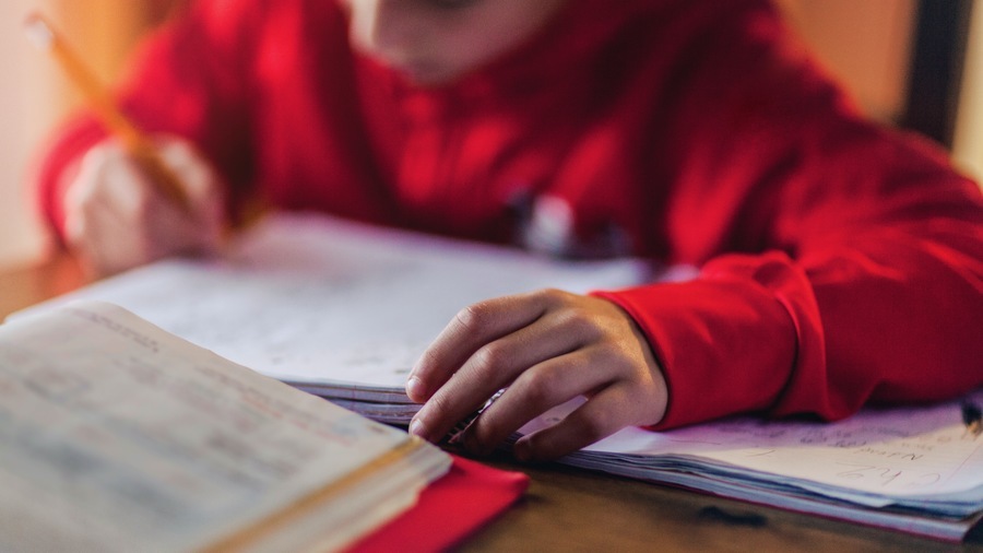 Les enfants Dys devront compenser leur handicap toute leur vie. Le secteur médico-social peut les aider à mettre en place des stratégies, à l'école notamment. (Image source/BSIP)