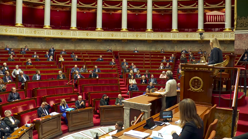 Dépakine, Lyme et cancers pédiatriques font partie des mesures retenues par le Gouvernement dans la version du texte sur lequel il engage sa responsabilité. Les amendements adoptés en commission pour le médico-social ont eux été supprimés. (Assemblée nationale/capture d'écran)