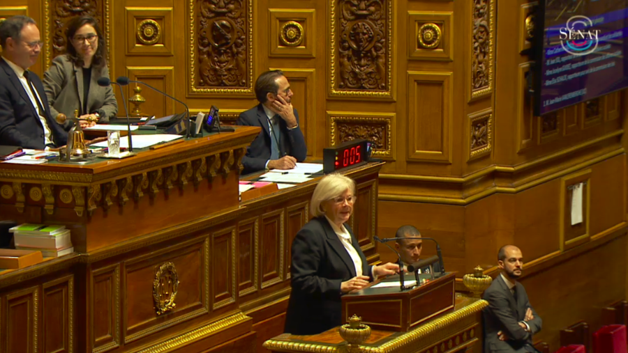 La ministre du Travail, de la Santé et des Solidarités, Catherine Vautrin, a estimé que la proposition de loi Bien vieillir "fera encore progresser" la France dans la prise en charge de l'autonomie. (Capture d'écran/Sénat)