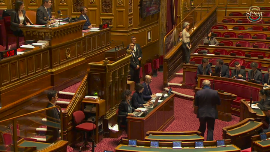 Ce 27 mars au soir les sénateurs ont adopté la version finale de la proposition de loi Bien vieillir. Un texte qui propose un catalogue de mesures bienvenues mais qui ne répondent pas aux problématiques structurelles du secteur. (Sénat/capture d'écran)