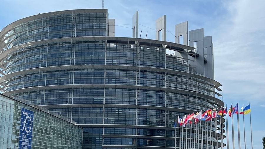 Le Parlement européen accueillera prochainement 81 nouveaux députés français. L'enjeu est de les mobiliser en faveur des personnes en situation de handicap. (Edoxie Allier/Hospimedia)