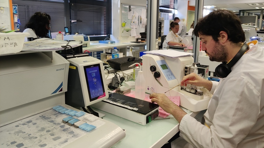 Cette circulaire délègue, en dehors du Ségur de la santé, 16,7 millions d'euros pour accompagner la numérisation de l'anatomocytopathologie. (Perrine Debacker/Hospimedia)