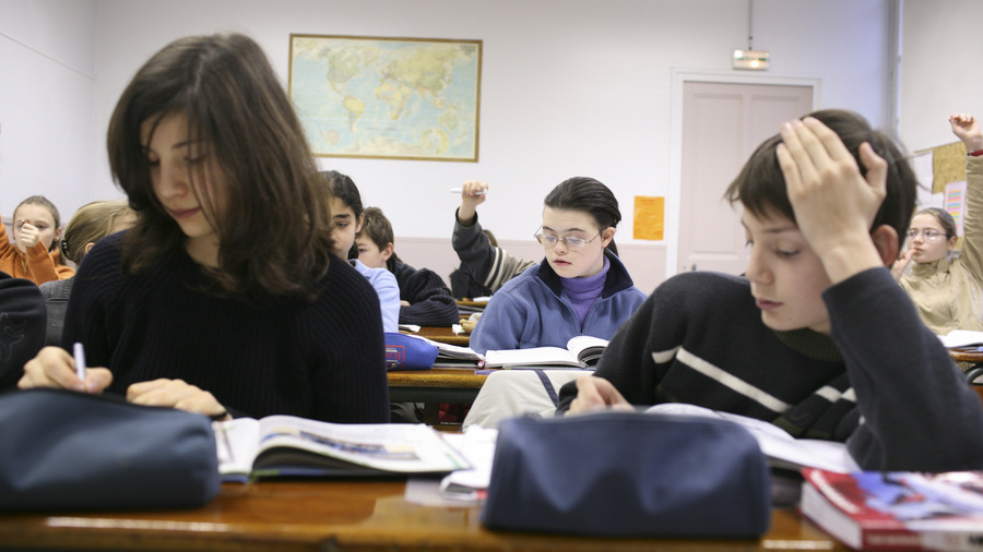 Faute de soutien hiérarchique, de moyens et de coopération développée avec les professionnels du handicap, les enseignants doivent gérer des situations qui parfois les dépassent. (BL/BSIP)