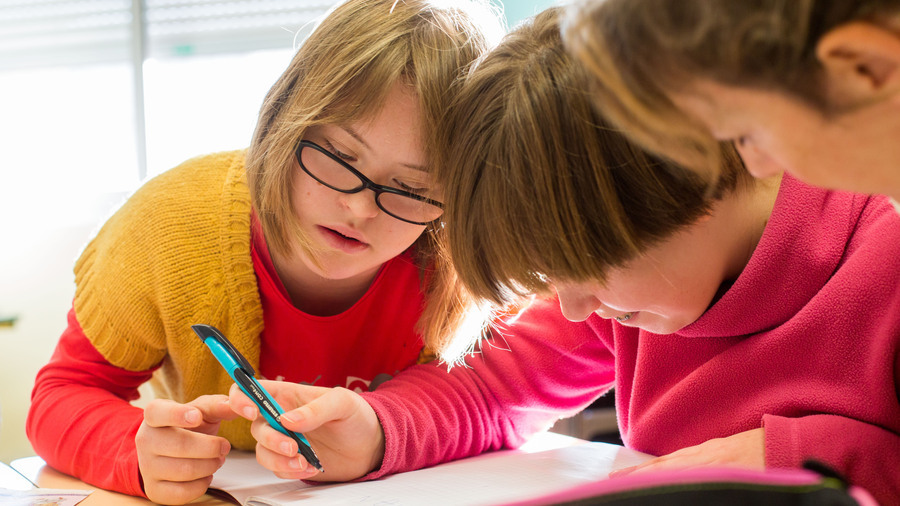 436 085 élèves en situation de handicap, tous handicaps confondus, ont été accueillis à l'école en 2024, contre 155 000 seulement en 2006. (Burger/Phanie)