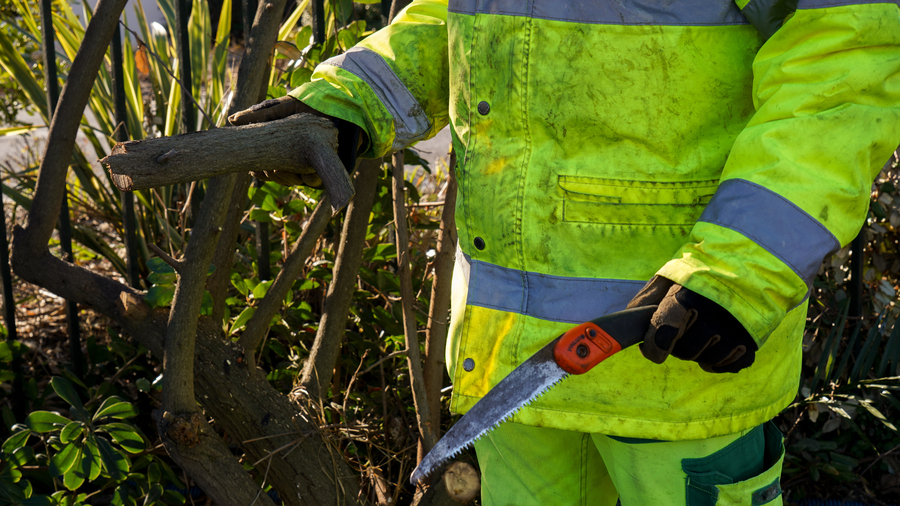 Cinq succursales seront progressivement ouvertes avec un premier ancrage à Mamoudzou et un deuxième à Bandrélé, probablement avec des activités plus agricoles. (Tremelet/Image Point FR/BSIP)