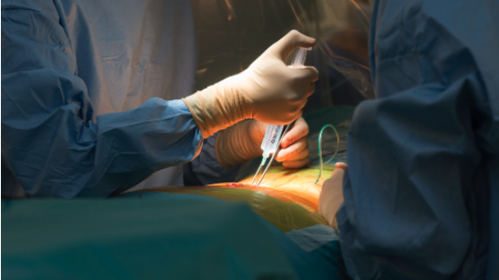 L'enquête du Snphare montre une grande diversité des pratiques concernant le temps de travail de deux spécialités à l'hôpital. (A. Noor/Image Point FR/BSIP)