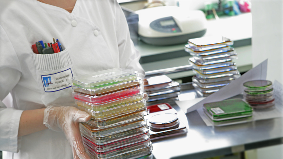 Les antibiogrammes sont réalisés quotidiennement dans les laboratoires hospitaliers pour isoler les bactéries, les analyser et déterminer pour quel antibiotique elles sont sensibles ou résistantes. (Chassenet/BSIP)