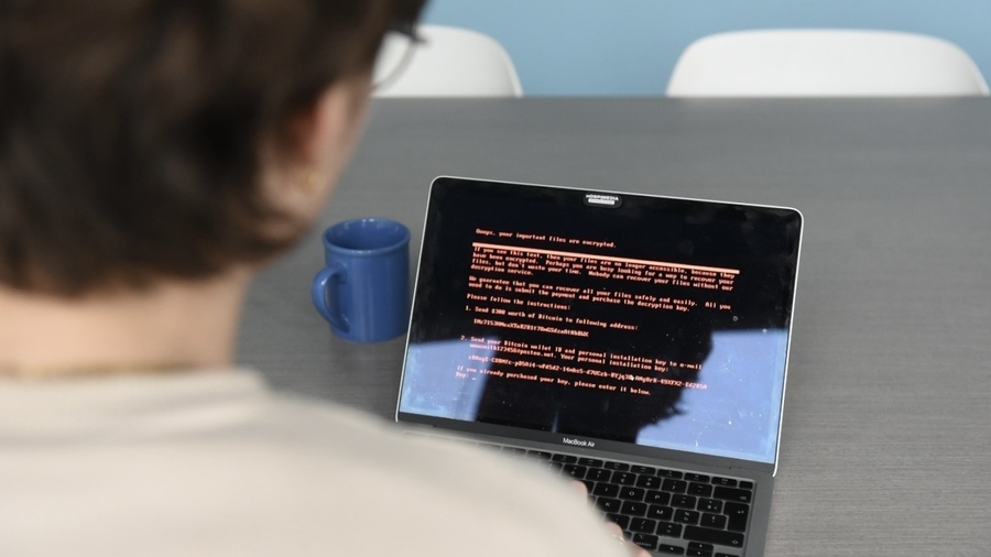Le nombre de signalements d'incidents informatiques a augmenté de 29% en un an. (Manuel Magrez/Hospimedia)