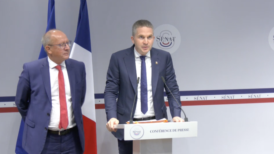 Les sénateurs ont publié plusieurs recommandations dédiées exclusivement au Health data hub. (Capture d'écran Sénat)