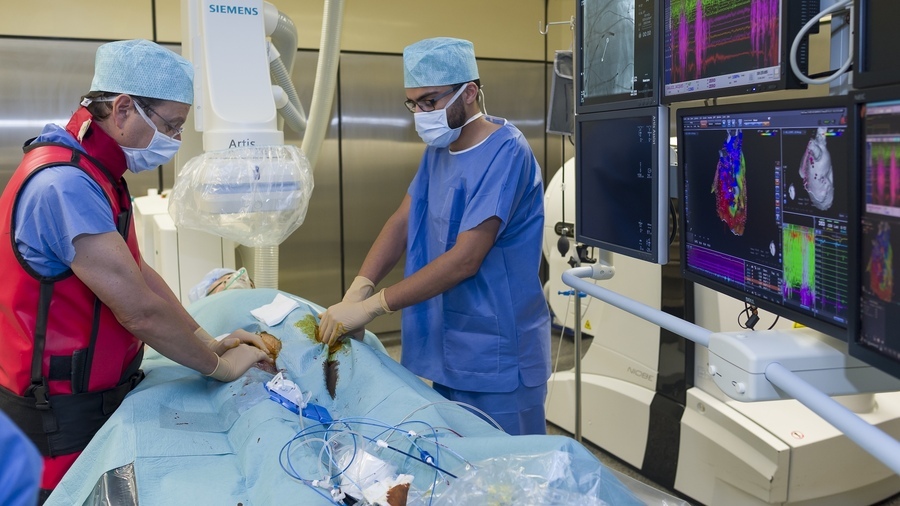 Les cathéters et dispositifs d'ablation cardiaque entrent dans le périmètre de l'expérimentation sur le retraitement des dispositifs médicaux à usage unique. (A. Noor/Image point FR/BSIP)