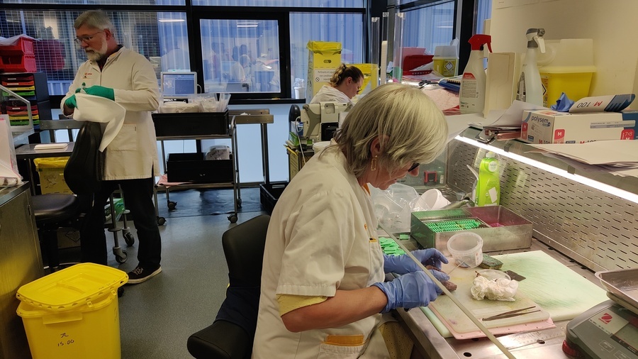 Les médecins pathologistes rejettent le qualificatif de rentiers, en réaction à l'analyse de la Caisse nationale de l'assurance maladie sur les pratiques d'optimisation financière. (Perrine Debacker/Hospimedia)