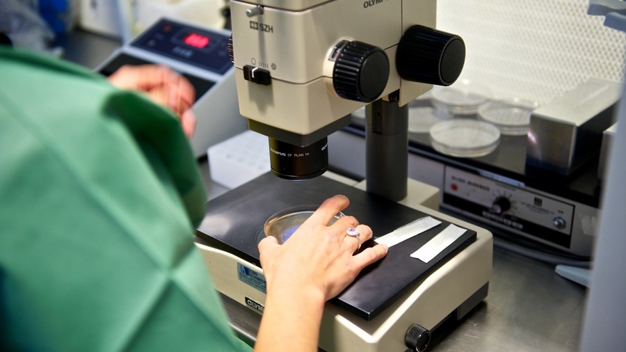 Pour l'AP-HP, l'obligation de postage dans un registre répond à des exigences éthique, scientifique et de santé publique. Il s'agit aussi d'une nécessaire contrepartie de l'engagement des patients dans les recherches. (Lionel Souci/BSIP) - Droits réservés Pour l'AP-HP, l'obligation de postage dans un registre répond à des exigences éthique, scientifique et de santé publique. Il s'agit aussi d'une nécessaire contrepartie de l'engagement des patients dans les recherches. (Lionel Souci/BSIP)