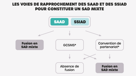 Les Saad et les Ssiad ont différentes manières de se constituer en Sad mixtes, cela peut se faire directement ou par voie d'un GCSMS ou d'une convention de partenariat, moins engageante qu'un groupement. (Matières grises)