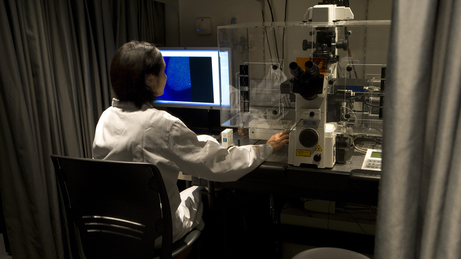 Le fonds de dotation de France Alzheimer est dédié à la recherche biomédicale et finance une cohorte unique. (Bruno/Image Point FR/BSIP)