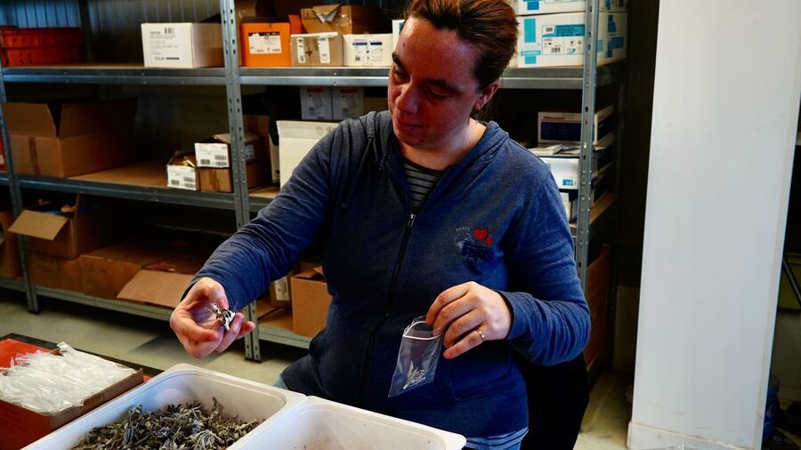 Trois fédérations ont décidé de joindre leurs efforts pour fluidifier les relations entre travail protégé et réorientation professionnelle pour les travailleurs en situation de handicap. Elles ont dévoilé un plaidoyer pour faire évoluer la réglementation. (Tremelet/Image Point FR/BSIP)