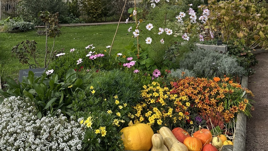 Le jardin thérapeutique mis en place à l'EPSM de Caen évolue sur une partie en fonction des saisons. Il est ouvert aux patients au travers de séances dédiées mais aussi aux personnels de l'établissement. (Géraldine Tribault/Hospimedia)