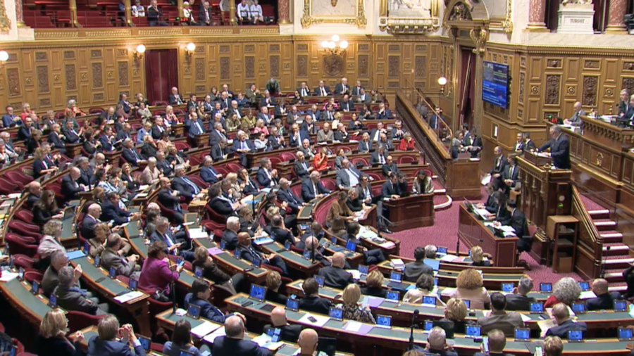 Les sénateurs ont adopté en première lecture par 196 voix contre 119 le projet de loi de financement de la sécurité sociale. (Capture d'écran de la retransmission vidéo du Sénat)